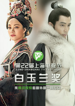 柘城网站seo优化报价