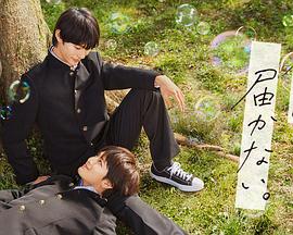 seo首页优化优选火星软件